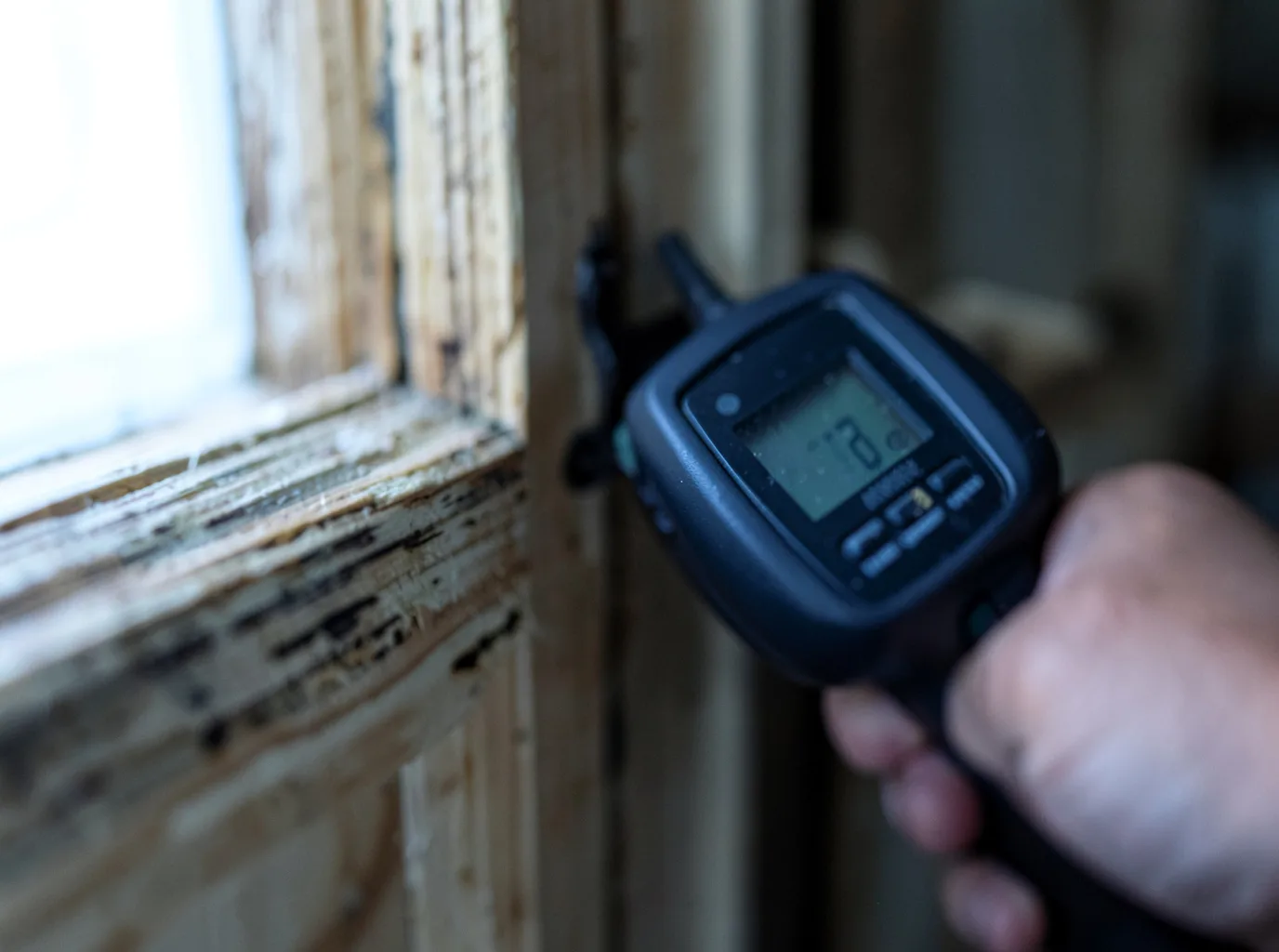 Moisture Inspection And Documentation in Sedley, VA